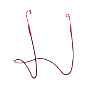 Tomorrowland x Loop Link