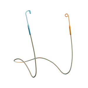 Loop x Coachella Link